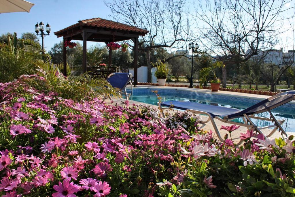 Villa Paradise Пафос Номер фото